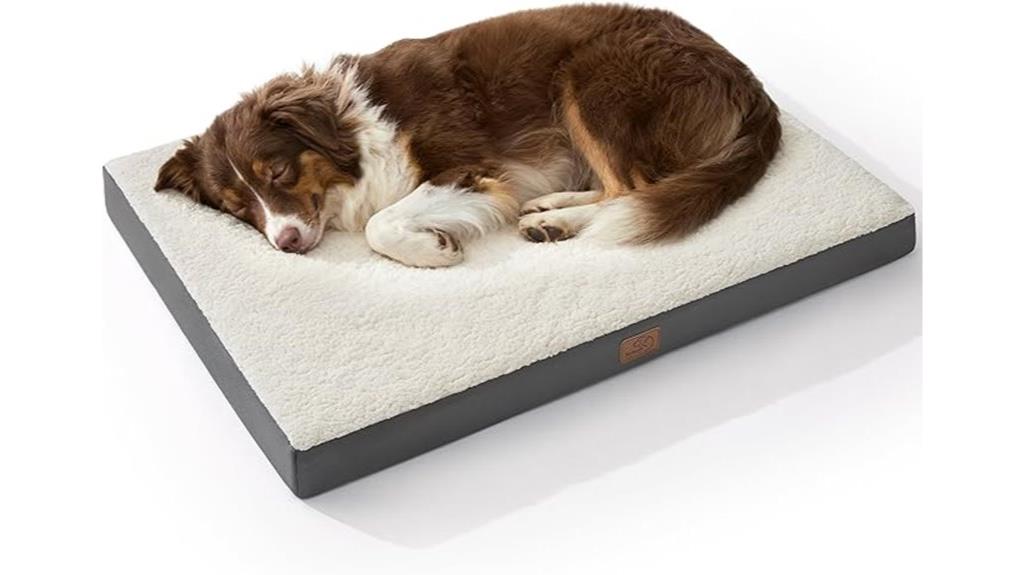 large washable orthopedic dog bed