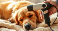 pet massage gun safety