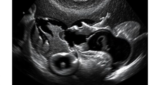 ultrasound tissue appearance explained