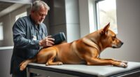 vet lifting strain relief