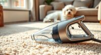 top pet carpet cleaner reviews