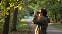 Birdwatching Rewires The Brain And Slows Cognitive Decline